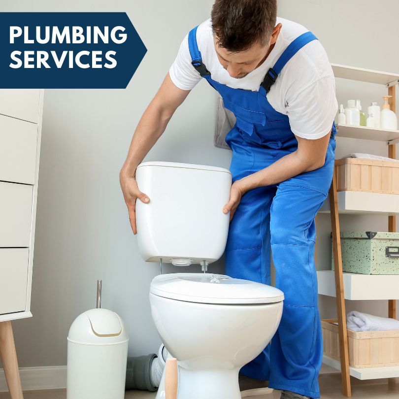 Plumbing Company in Lanesboro, IA